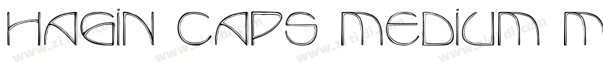 Hagin Caps Medium Me字体转换